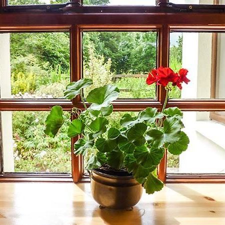Hawthorn Farm Cottage Curry Экстерьер фото