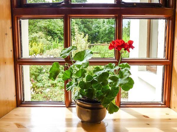 Hawthorn Farm Cottage Curry Экстерьер фото