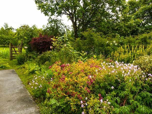 Hawthorn Farm Cottage Curry Экстерьер фото