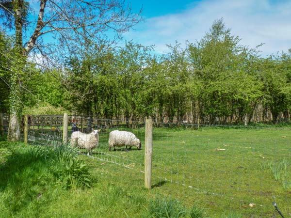 Hawthorn Farm Cottage Curry Экстерьер фото